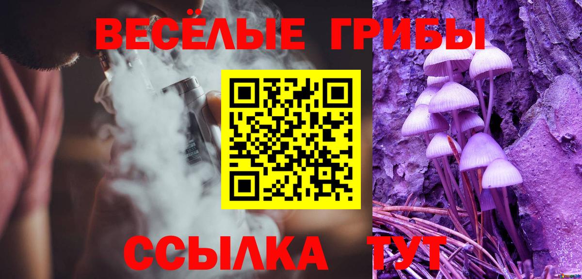Галлюциногенные грибы Psilocybe  Вход с VPN  Кувандык 