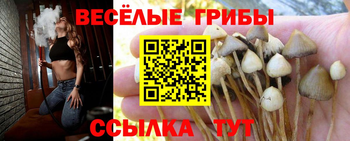 Псилоцибиновые грибы ЛСД Кувандык